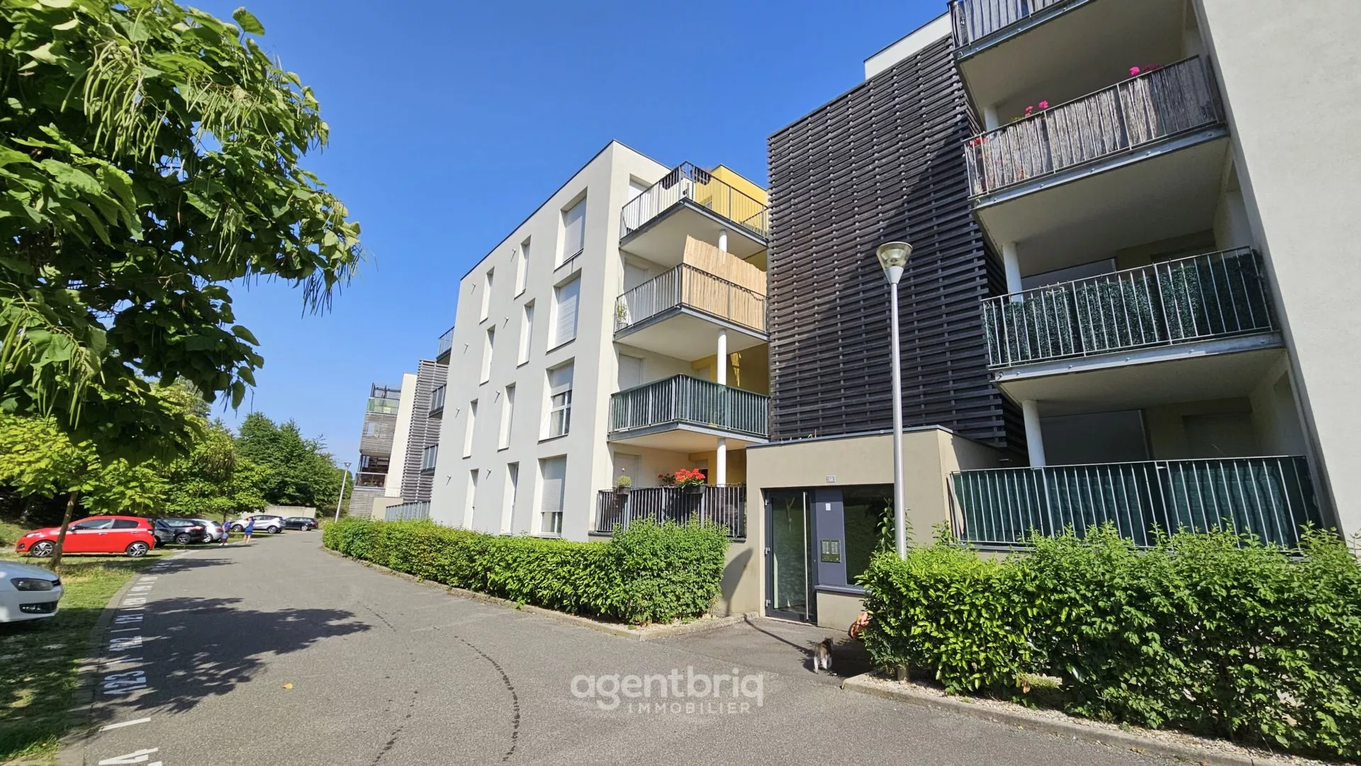 20230718_170229 copie