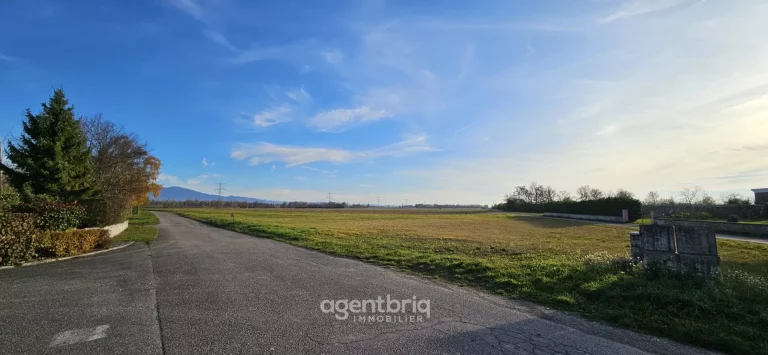 20251110_152533 copie